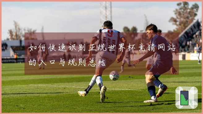 如何快速识别正规世界杯竞猜网站的入口与规则总结