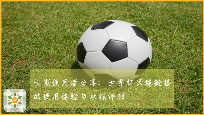 长期使用者分享：世界杯买球链接的使用体验与功能评测