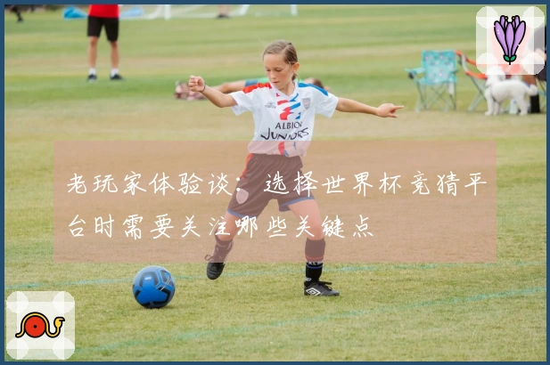 老玩家体验谈：选择世界杯竞猜平台时需要关注哪些关键点