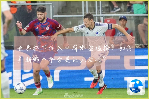 世界杯下注入口有哪些选择？如何判断哪个平台更让人放心？