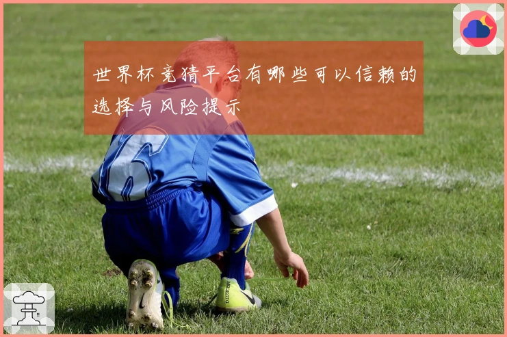 世界杯竞猜平台有哪些可以信赖的选择与风险提示