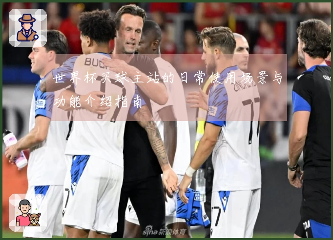 世界杯买球主站的日常使用场景与功能介绍指南