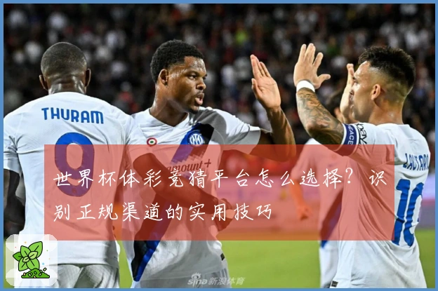 世界杯体彩竞猜平台怎么选择？识别正规渠道的实用技巧