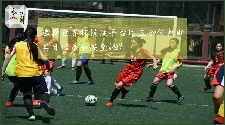 选择世界杯投注平台时应如何判断其可信度和安全性？