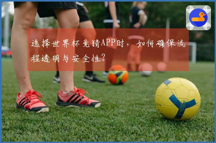 选择世界杯竞猜APP时，如何确保流程透明与安全性？