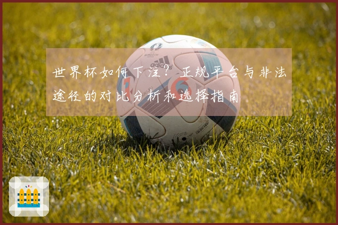 世界杯如何下注？正规平台与非法途径的对比分析和选择指南