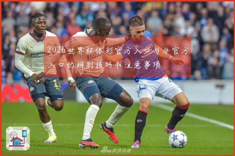 2026世界杯体彩官方入口与非官方入口的辨别技巧和注意事项