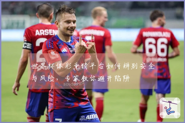 世界杯体彩竞猜平台如何辨别安全与风险，专家教你避开陷阱
