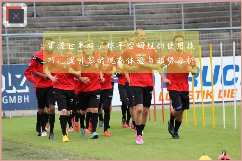 掌握世界杯买球平台网址的使用技巧，提升您的观赛体验与趋势分析能力