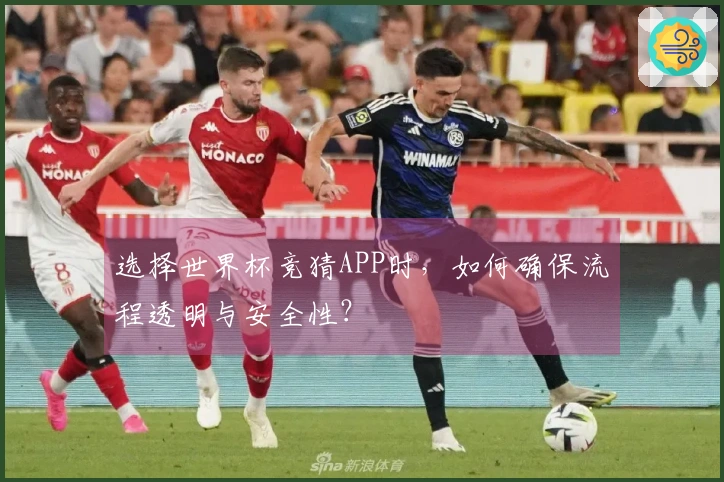 选择世界杯竞猜APP时，如何确保流程透明与安全性？