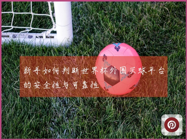 新手如何判断世界杯外围买球平台的安全性与可靠性