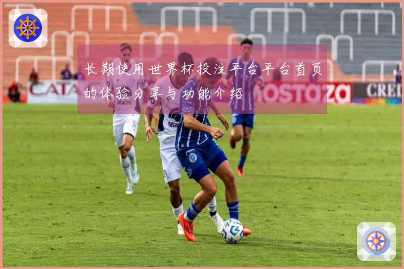 长期使用世界杯投注平台平台首页的体验分享与功能介绍