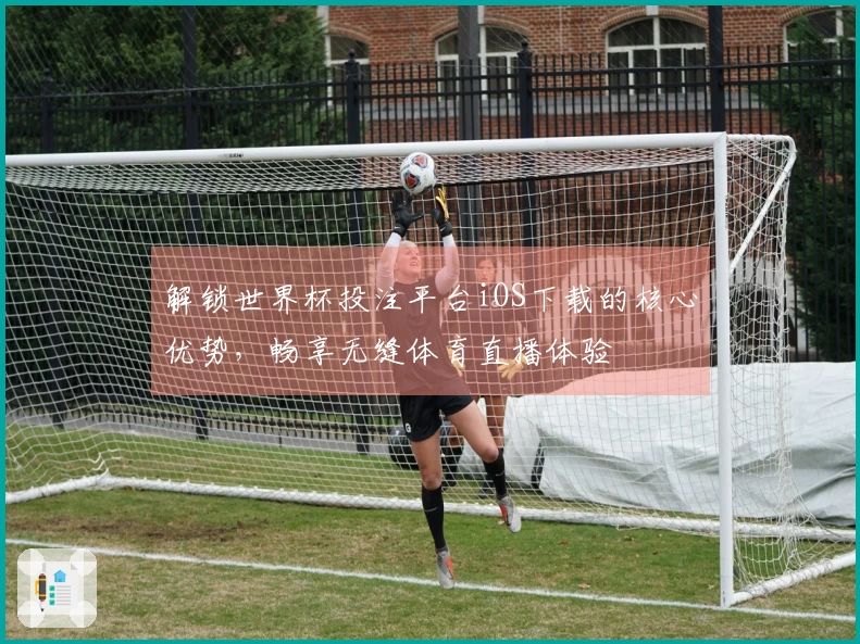 解锁世界杯投注平台iOS下载的核心优势，畅享无缝体育直播体验