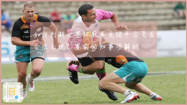 如何判断世界杯冠军竞猜平台是否合法合规？赛前必知事项解析