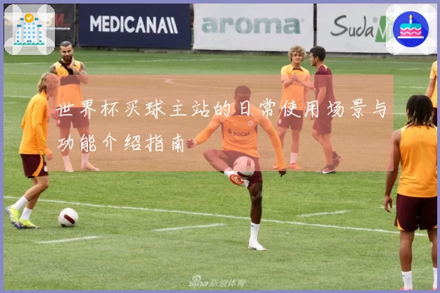 世界杯买球主站的日常使用场景与功能介绍指南