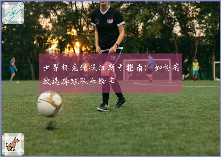 世界杯竞猜投注新手指南：如何有效选择球队和赔率