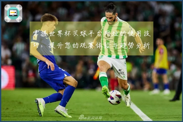 掌握世界杯买球平台网址的使用技巧，提升您的观赛体验与趋势分析能力
